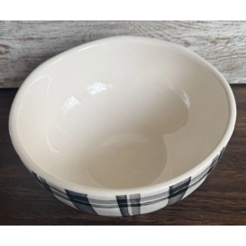 PIER 1 One‎ Watercolor Black & White Ironstone 6